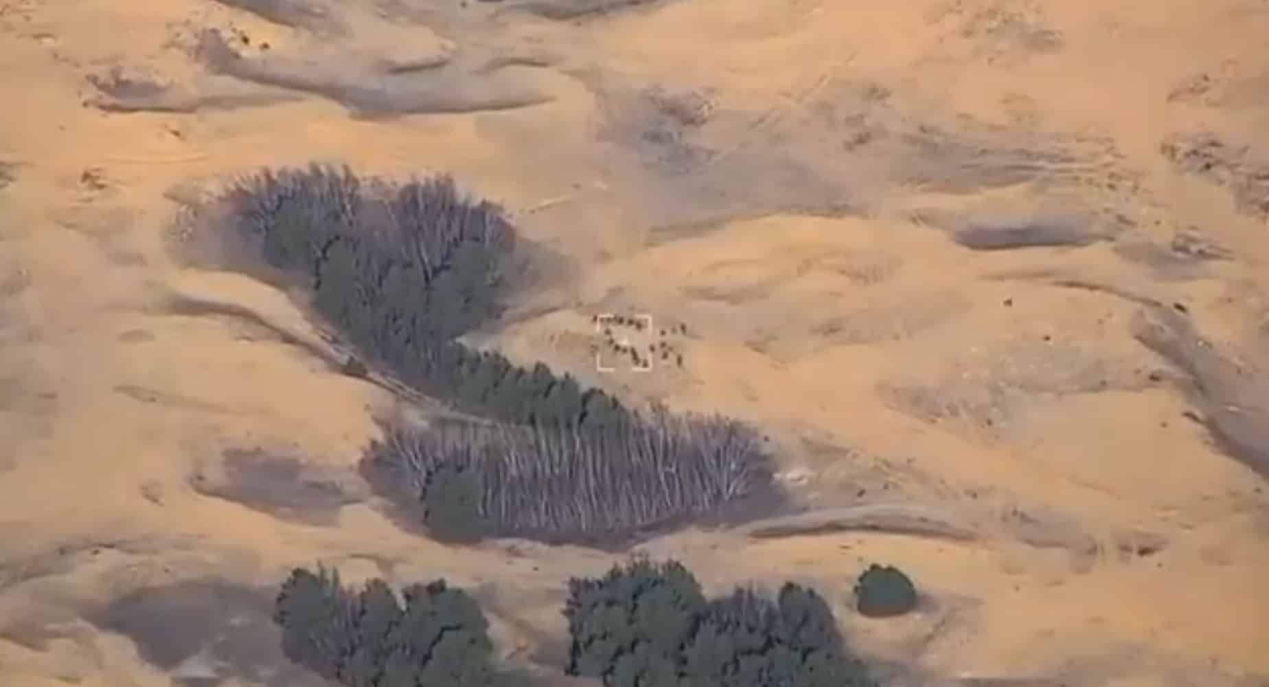 VIDEO „Omfg”: Trei grupuri de soldați ruși au fost spulberate de lovituri HIMARS cu muniții din tungsten