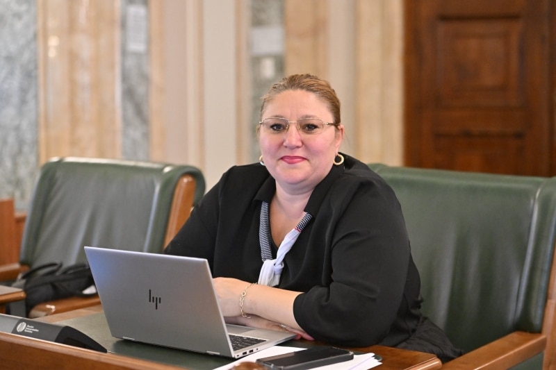 Diana Șoșoacă se aliază cu Alternativa pentru Germania într-un nou grup politic european